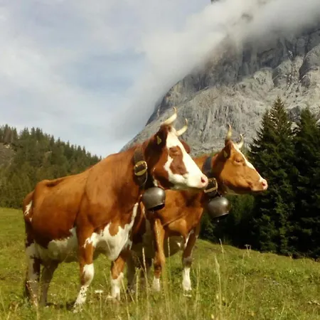 Buehlengasse 6 Grindelwald