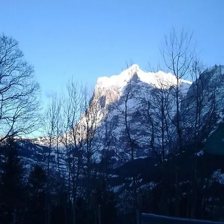 Buehlengasse 6 *